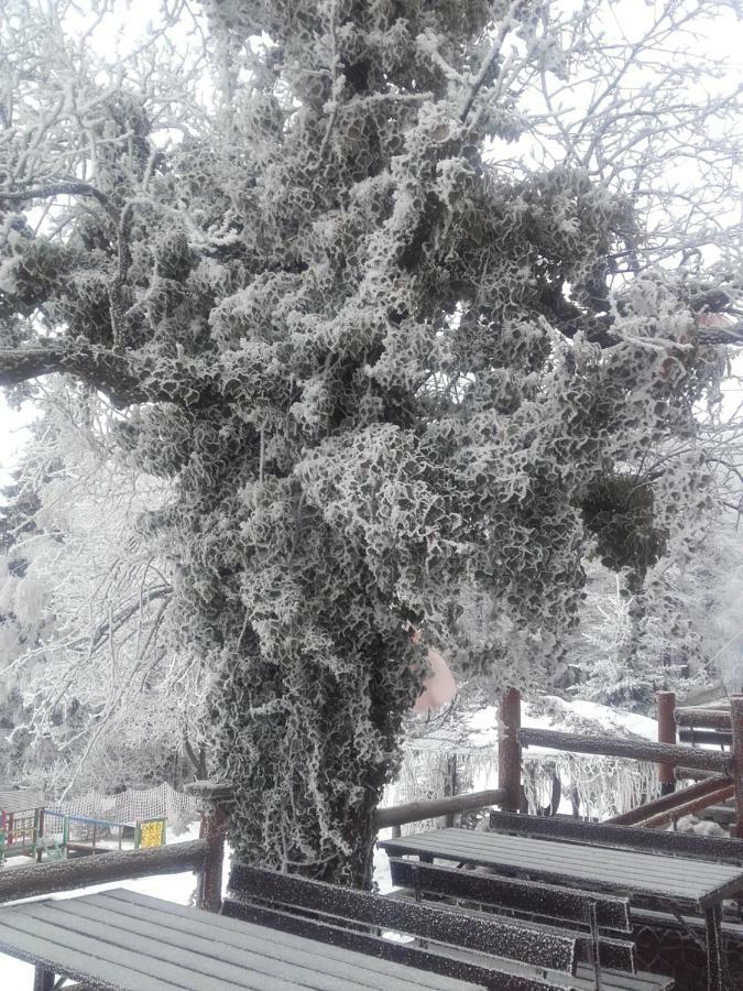 Bed and Breakfast Chata Na Groniu Meszna Zewnętrze zdjęcie