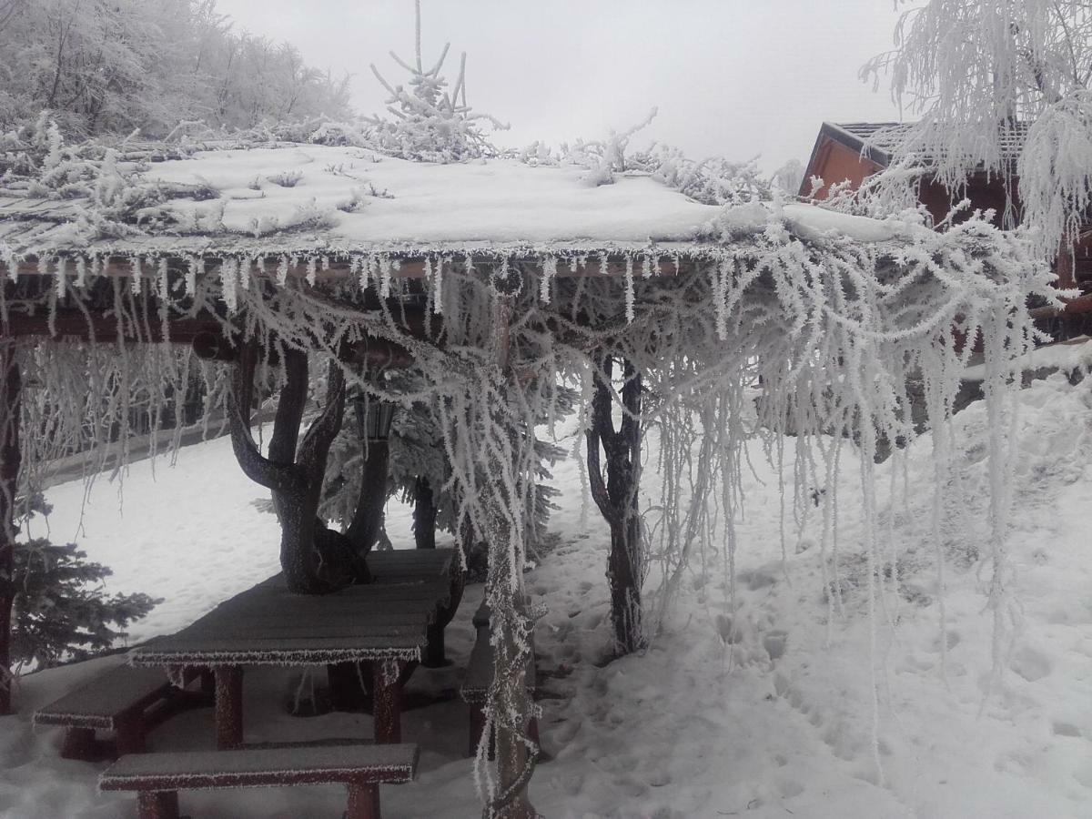 Bed and Breakfast Chata Na Groniu Meszna Zewnętrze zdjęcie